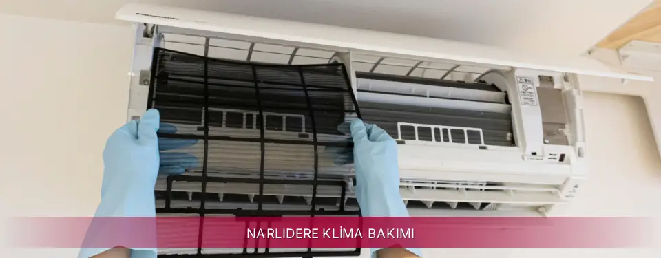 Narlıdere İlçemi LG Klima Bakımı